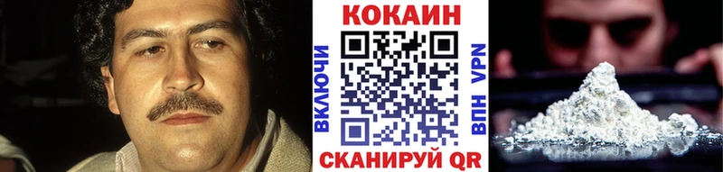 купить закладку  Нижнеудинск  Cocaine FishScale 
