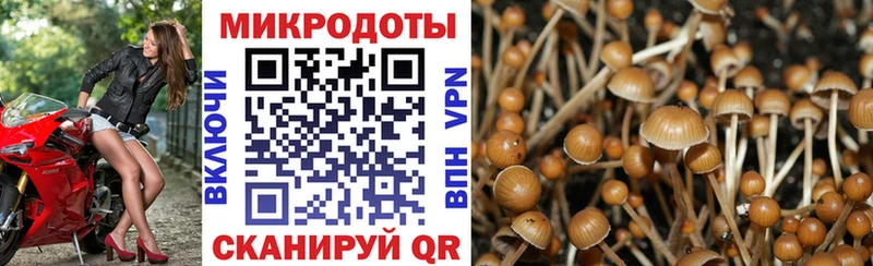 Галлюциногенные грибы Cubensis  Нижнеудинск 