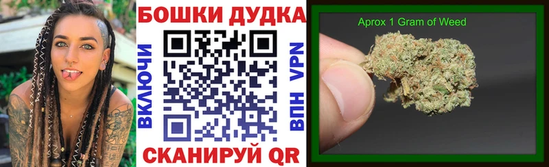 как найти наркотики  гидра ONION  Конопля семена  Нижнеудинск 
